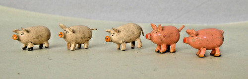 Kleine schweine alte - kleine,