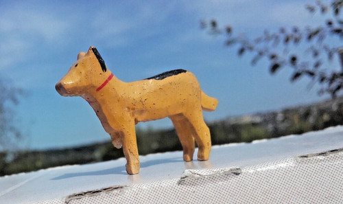 Hund dog chien wauwau tier - hund,